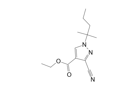 3-cyano-1-(1,1-dimethylbutyl)pyrazole-4-carboxylic acid ethyl ester