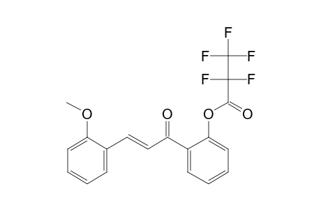 2'-Hydroxy-2-methoxychalcone, pentafluoropropionate