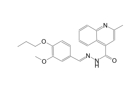 N'-[(E)-(3-methoxy-4-propoxyphenyl)methylidene]-2-methyl-4-quinolinecarbohydrazide
