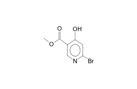 methyl 4-hydroxy-6-bromonicotinate
