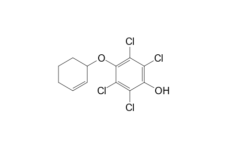 2,3,5,6-Tetrachloro-4-(cyclohex-2-en-1-yloxy)phenol