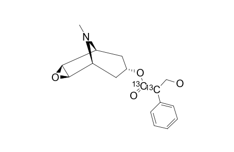 Hyoscine