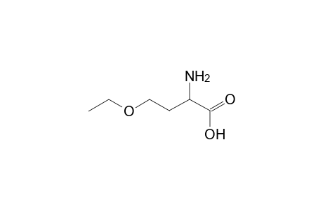 L-Homoserine, O-ethyl-