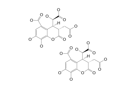 ISOCHEBULIC-ACID;(3S,4S)-4-[(R)-CARBOXY-(HYDROXY)-METHYL]-3-(CARBOXYMETHYL)-3,4-DIHYDRO-7,8-DIHYDROXY-2-OXO-2H-[1]-BENZOPYRAN-5-CARBOXYLIC-ACID
