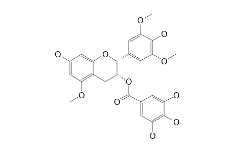 (2R,3R)-7,4'-DIHYDROXY-5,3',5'-TRIMETHOXYFLAVAN-3-O-GALLATE