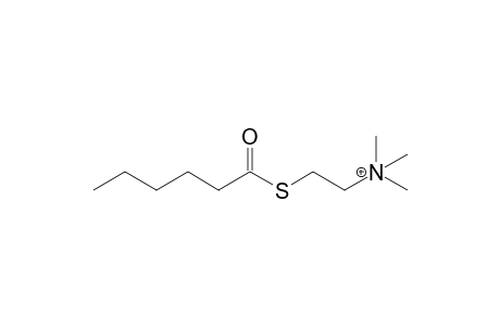 2-(caproylthio)ethyl-trimethyl-ammonium