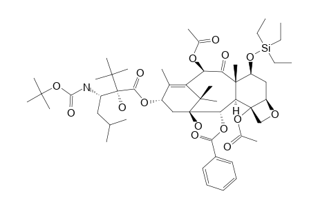 2'-TERT.-BUTYL-TAXANE;MAJOR-ISOMER