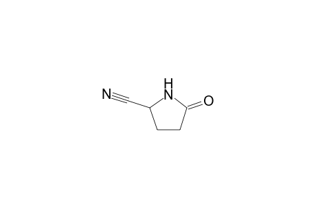 2-Pyrrolidinecarbonitrile, 5-oxo
