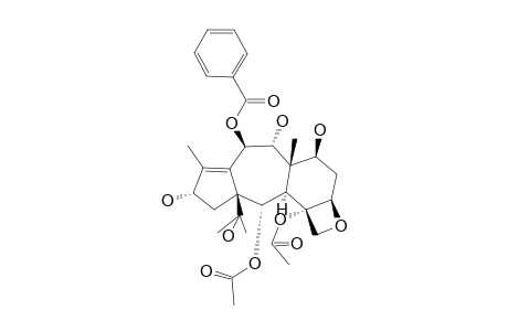 10-BETA-BENZOYLOXY-2-ALPHA,4-ALPHA-DIACETOXY-5-BETA,20-EPOXY-1-BETA,7-BETA,9-ALPHA,13-ALPHA-TETRAHYDROXY-11-(15->1)-ABEOTAXANE