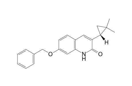 (R)-7-(Benzyloxy)-3-(2,2-dimethylcyclopropyl)quinolin-2(1H)-one