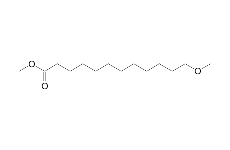 12-Methoxydodecanoic acid methyl ester