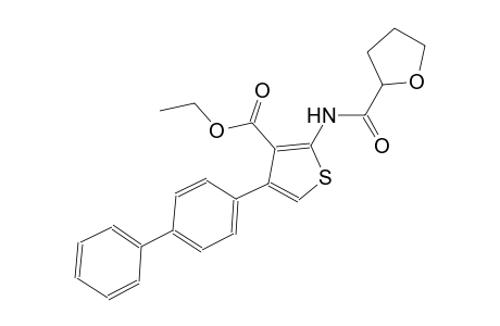 ethyl 4-[1,1'-biphenyl]-4-yl-2-[(tetrahydro-2-furanylcarbonyl)amino]-3-thiophenecarboxylate