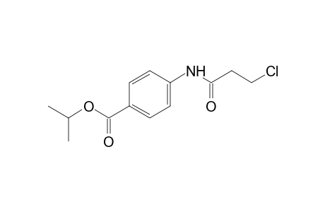 4-(3-chloropropionamido)benzoic acid, isopropyl ester