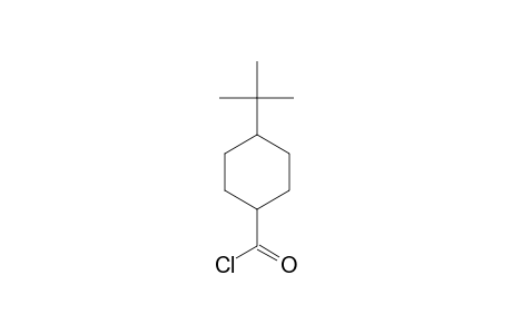Cyclohexanecarbonyl chloride, 4-tert-butyl-