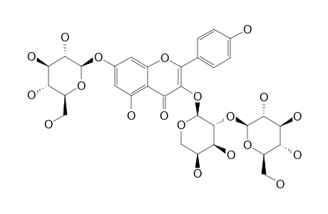 KAEMPFEROL-3-O-BETA-D-GLUCOPYRANOSYL-(1'''->2'')-O-ALPHA-L-ARABINOPYRANOSIDE-7-O-BETA-D-GLUCOPYRANOSIDE