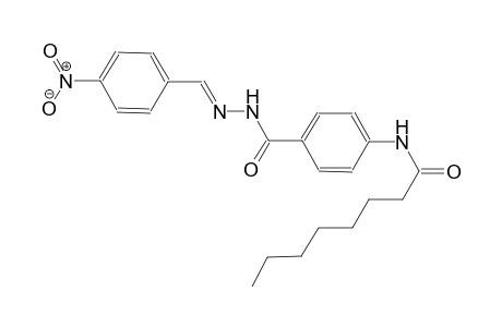 benzoic acid, 4-[(1-oxooctyl)amino]-, 2-[(E)-(4-nitrophenyl)methylidene]hydrazide