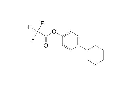 4-Cyclohexylphenyl 2,2,2-trifluoroacetate