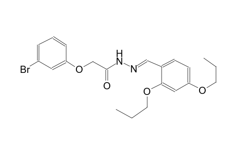 acetic acid, (3-bromophenoxy)-, 2-[(E)-(2,4-dipropoxyphenyl)methylidene]hydrazide