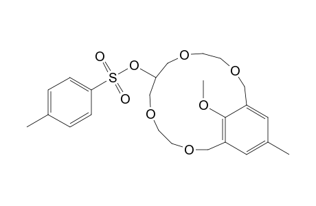 3,6,10,13-Tetraoxabicyclo[13.3.1]nonadeca-1(19),15,17-trien-8-ol, 19-methoxy-17-methyl-, 4-methylbenzenesulfonate