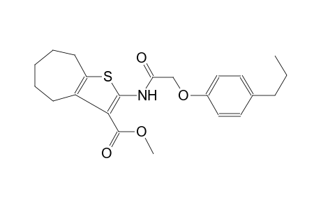 methyl 2-{[(4-propylphenoxy)acetyl]amino}-5,6,7,8-tetrahydro-4H-cyclohepta[b]thiophene-3-carboxylate