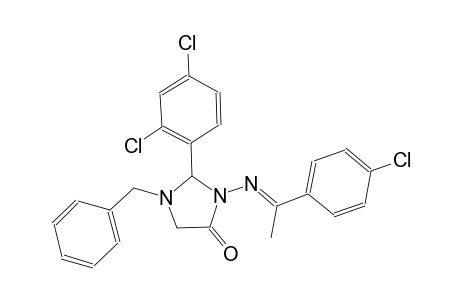 1-benzyl-3-{[(E)-1-(4-chlorophenyl)ethylidene]amino}-2-(2,4-dichlorophenyl)-4-imidazolidinone
