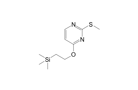 2-Methylthio-4-( 2'-trimethylsilylethoxy)pyrimidine