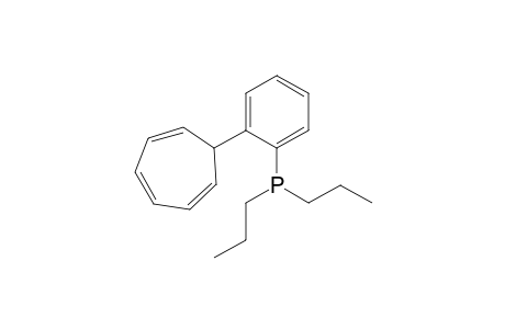 [2-(Cyclohepta-2,4,6-trienyl)phenyl]dipropylphosphane
