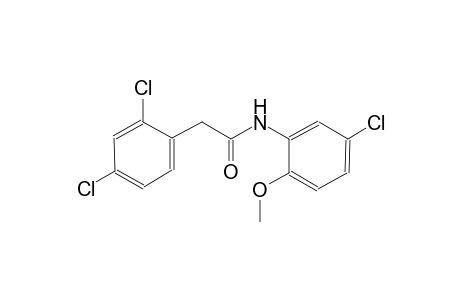 N-(5-chloro-2-methoxyphenyl)-2-(2,4-dichlorophenyl)acetamide