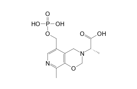 2H-Pyrido[4,3-e]-1,3-oxazine-3(4H)-acetic acid, .alpha.,8-dimethyl-5-[(phosphonooxy)methyl]-, (S)-