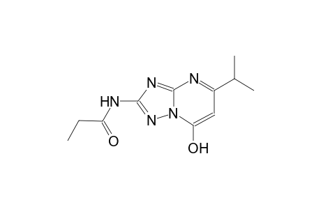 N-(7-Hydroxy-5-isopropyl-[1,2,4]triazolo[1,5-a]pyrimidin-2-yl)-propionamide