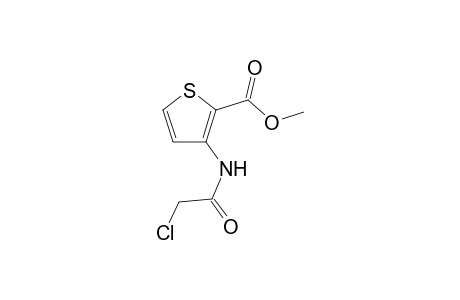 3-[(2-chloro-1-oxoethyl)amino]-2-thiophenecarboxylic acid methyl ester