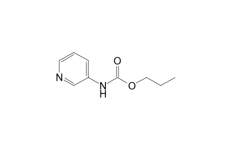propyl pyridin-3-ylcarbamate