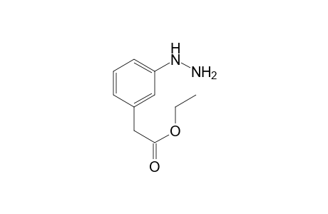Acetic acid, 2-(3-hydrazinophenyl)-, ethyl ester