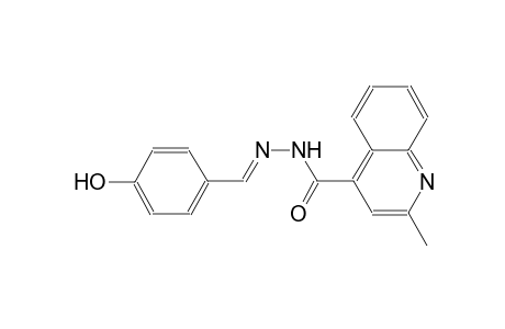 N'-[(E)-(4-hydroxyphenyl)methylidene]-2-methyl-4-quinolinecarbohydrazide