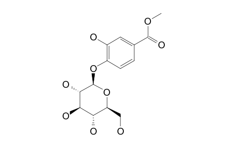 4-O-BETA-D-GLUCOPYRANOSIDE-3-HYDROXY-METHYL-BENZOATE