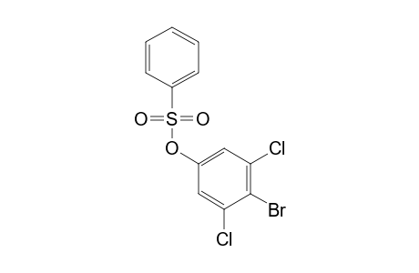 BENZENESULFONIC ACID, 4-BROMO-3,5-DICHLOROPHENYL ESTER