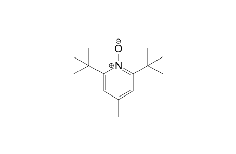 2,6-Bis(1,1-dimethylethyl)-4-methylpyridine-1-oxide