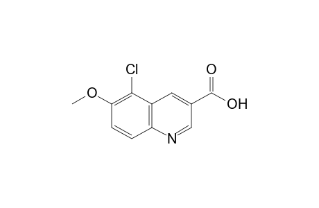 5-CHLORO-6-METHOXY-3-QUINOLINECARBOXYLIC ACID