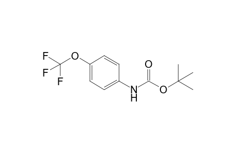 tert-Butyl N-[4-(Trifluoromethoxy)phenyl]carbamate