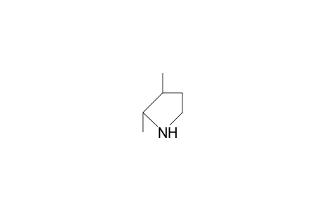 trans-2,3-Dimethyl-pyrrolidine
