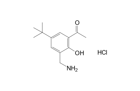 3'-(aminomethyl)-5'-tert-butyl-2'-hydroxyacetophenone, hydrochloride