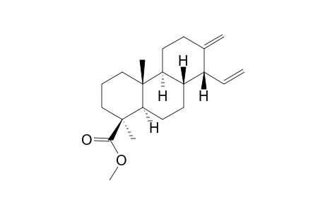 (1S,4aR,4bS,8R,8aR,10aR)-1,4a-dimethyl-7-methylene-8-vinyl-3,4,4b,5,6,8,8a,9,10,10a-decahydro-2H-phenanthrene-1-carboxylic acid methyl ester