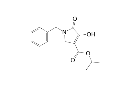 1-benzyl-4-hydroxy-5-oxo-3-pyrroline-3-carboxylic acid, isopropyl ester