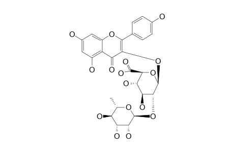 KAEMPFEROL-3-O-BETA-(2''-ALPHA-RHAMNOPYRANOSYL)-BETA-GLUCURONOPYRANOSIDE