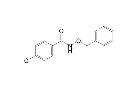 N-(benzyloxy)-p-chlorobenzamide