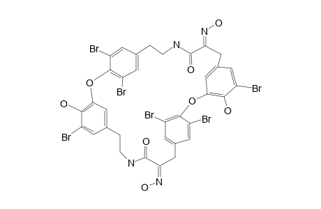 BASTADIN_6