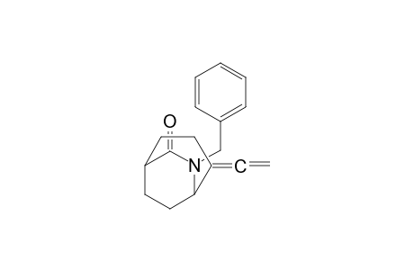 6-Azabicyclo[3.2.2]nonan-7-one, 4-ethenylidene-6-(phenylmethyl)-