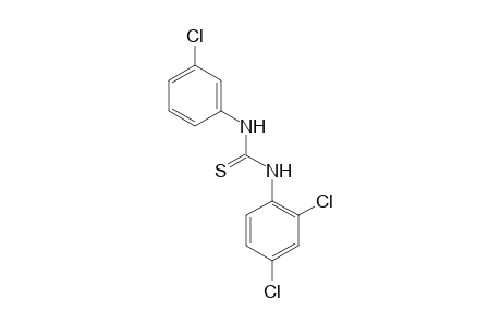 1-(3-Chlorophenyl)-3-(2,4-dichlorophenyl)thiourea