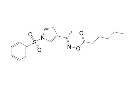 methyl 1-(phenylsulfonyl)pyrrol-3-yl ketone, O-hexanoyloxime