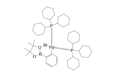 [PD-BR-[ORTHO-C6H4-B(PIN)]-(PCY3)(2)]
